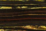 Polished Tiger Iron Stromatolite - Billion Years #129288-1